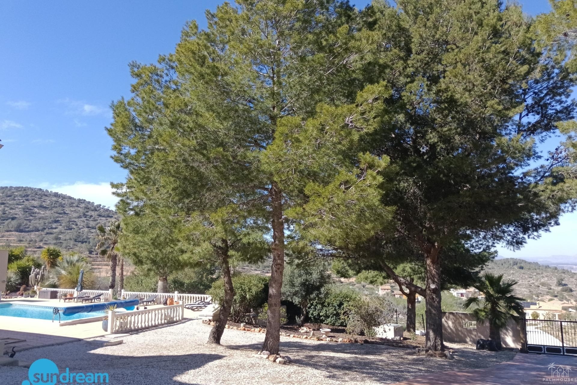Revente - Villa - Abanilla