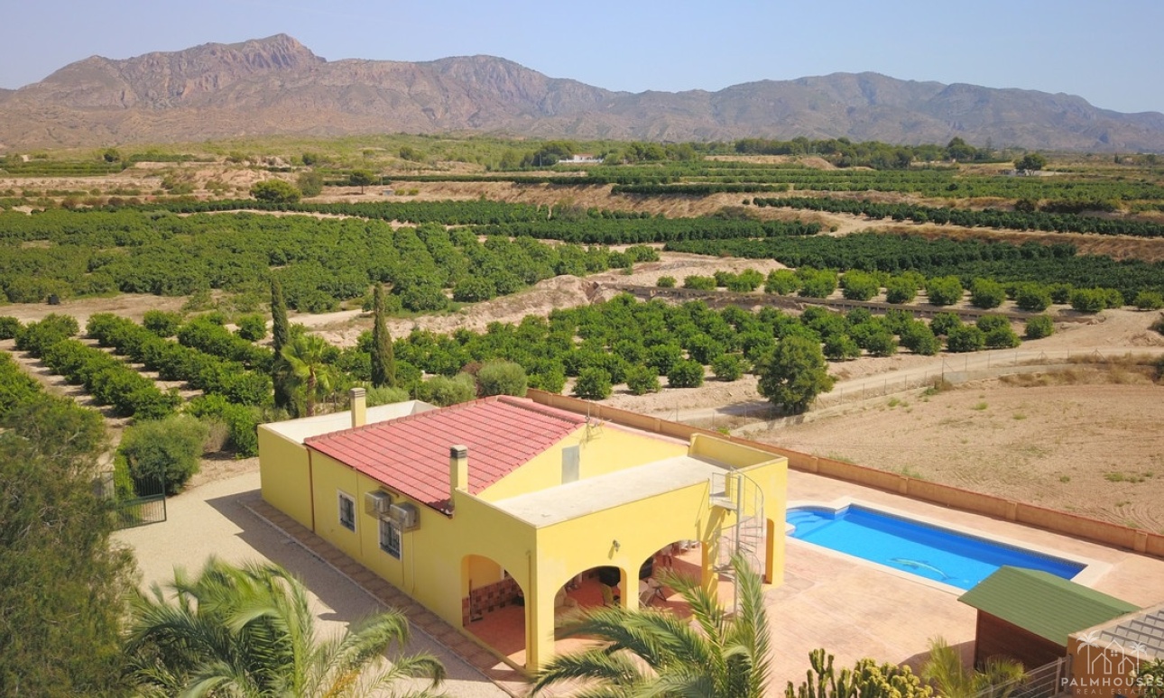 Revente - Villa - Albatera - Albatera Centro