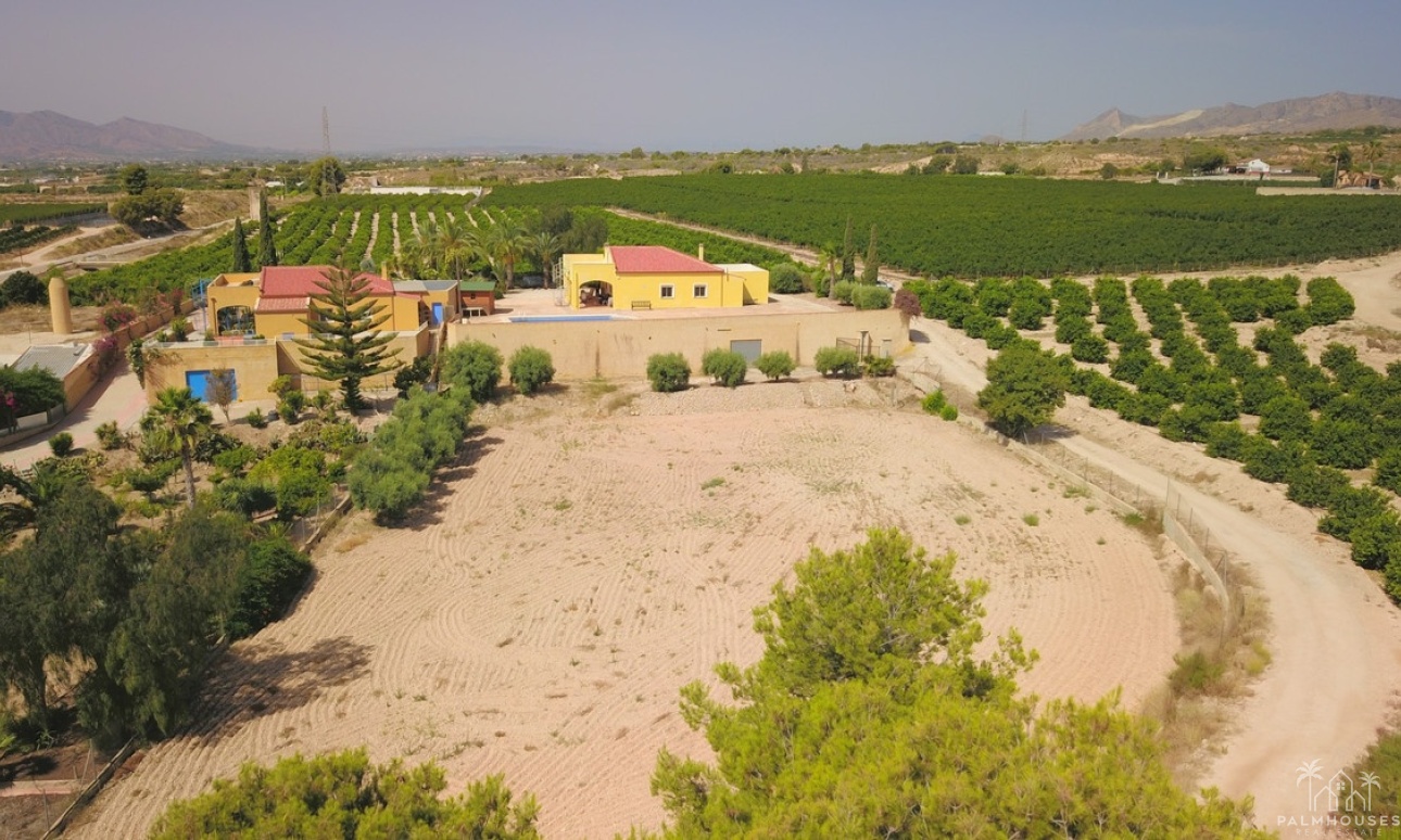 Revente - Villa - Albatera - Albatera Centro