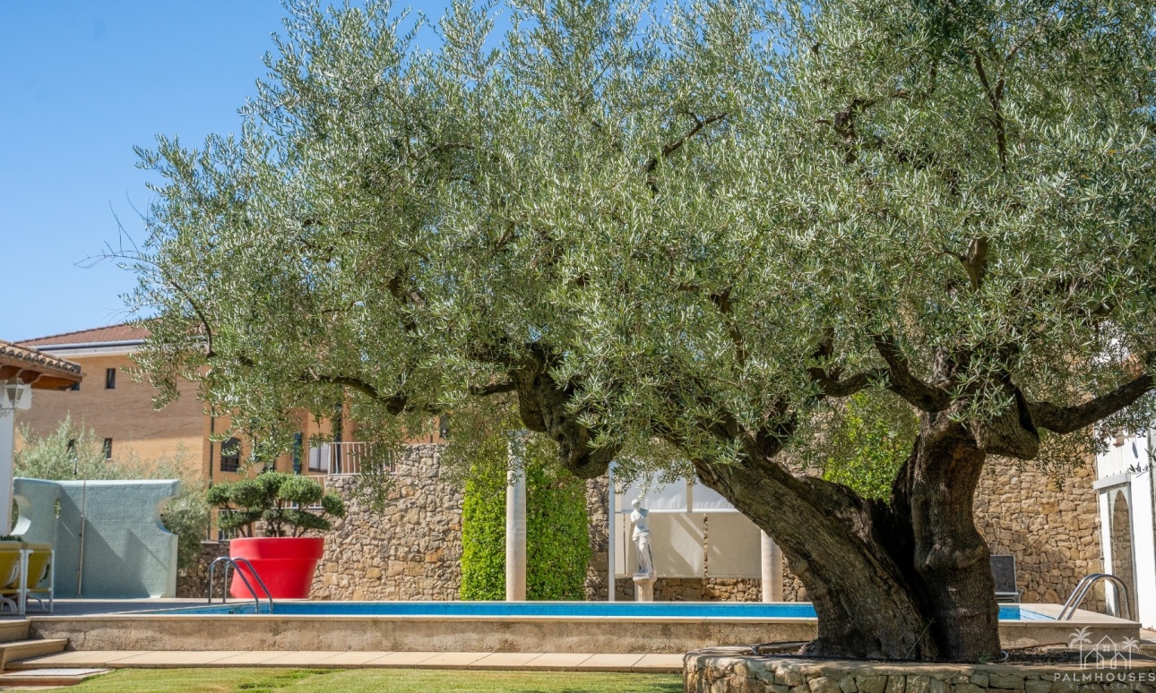 Revente - Villa - Alcoy - Inland