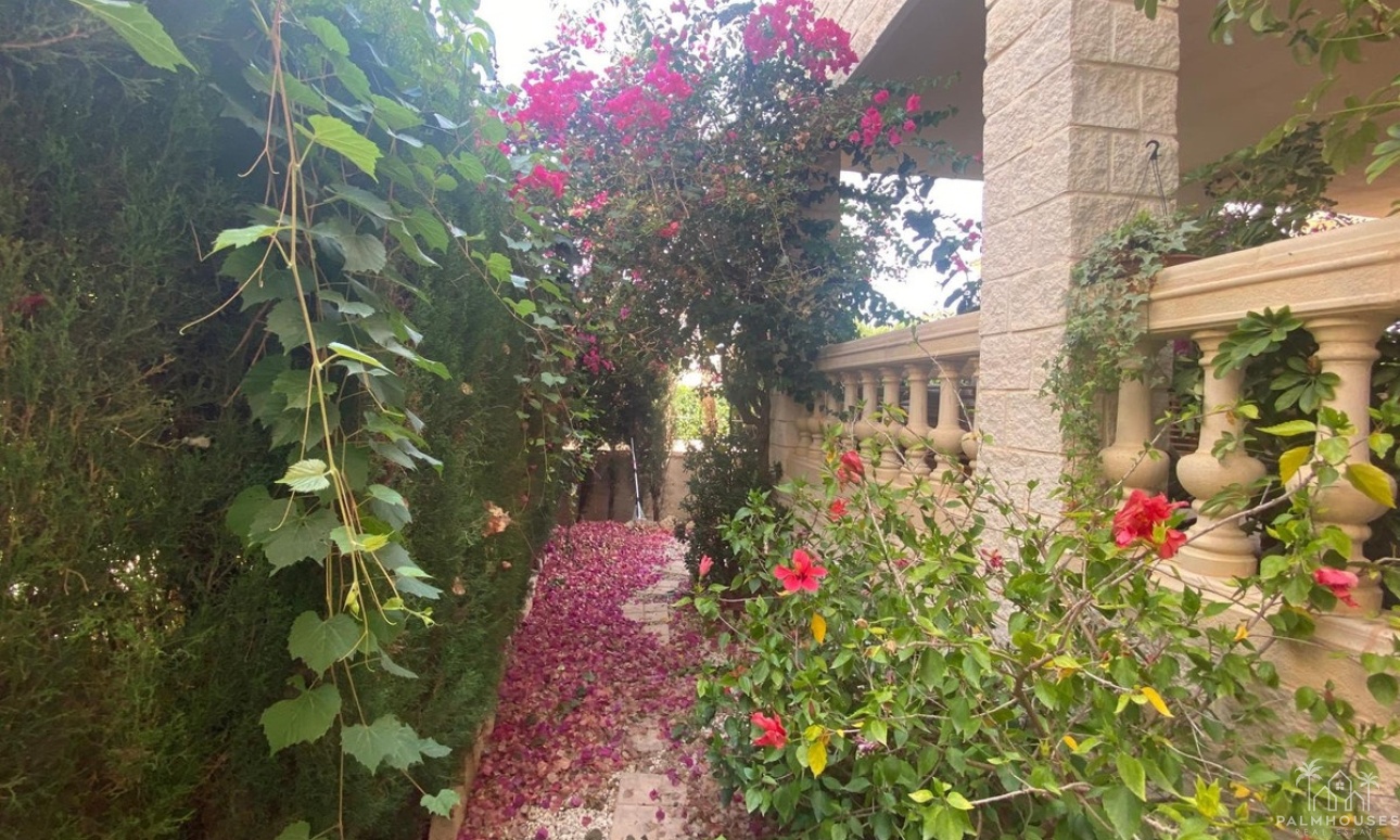 Revente - Villa - Alfaz del Pi - Albir