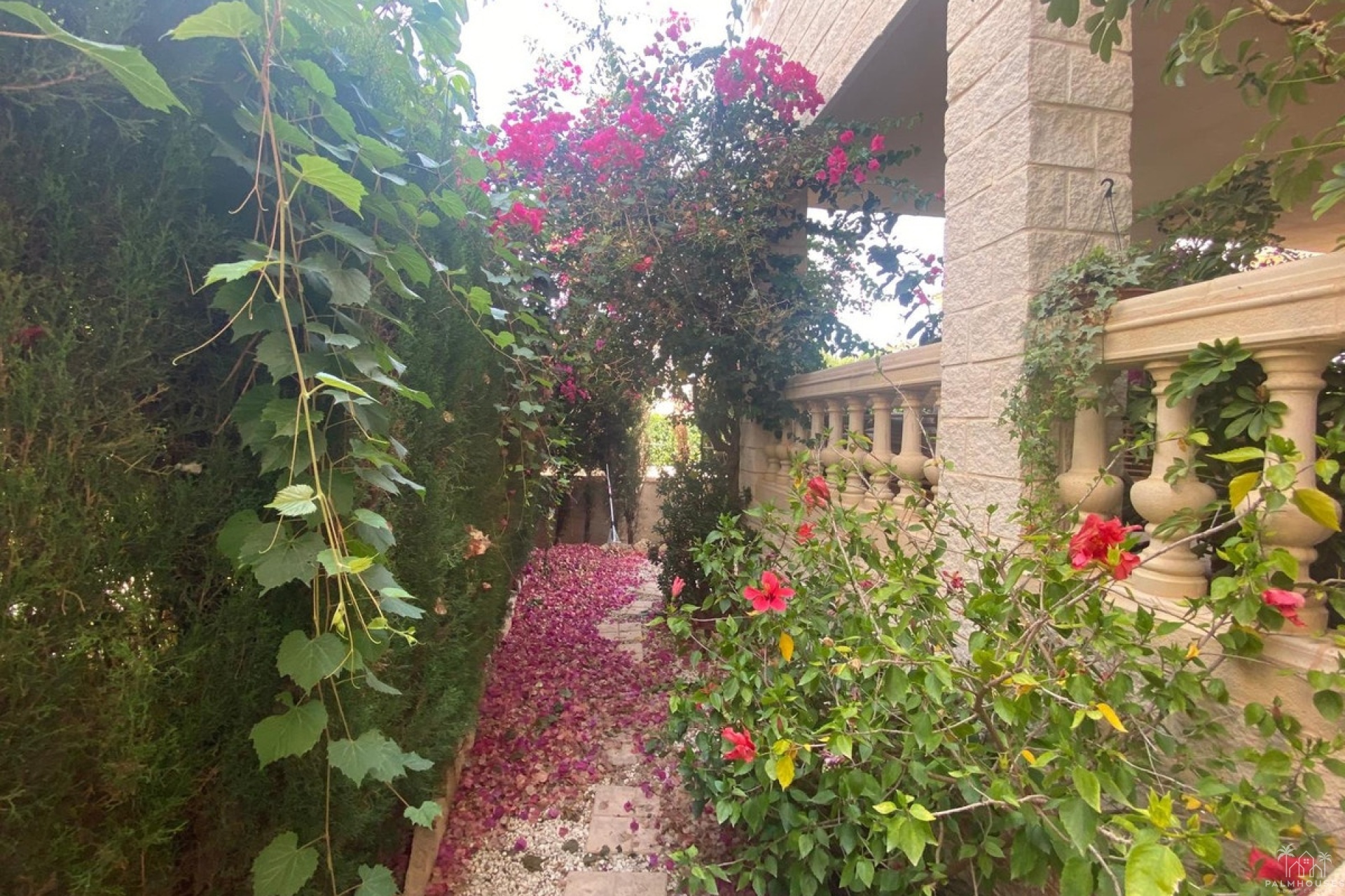 Revente - Villa - Alfaz del Pi - Albir