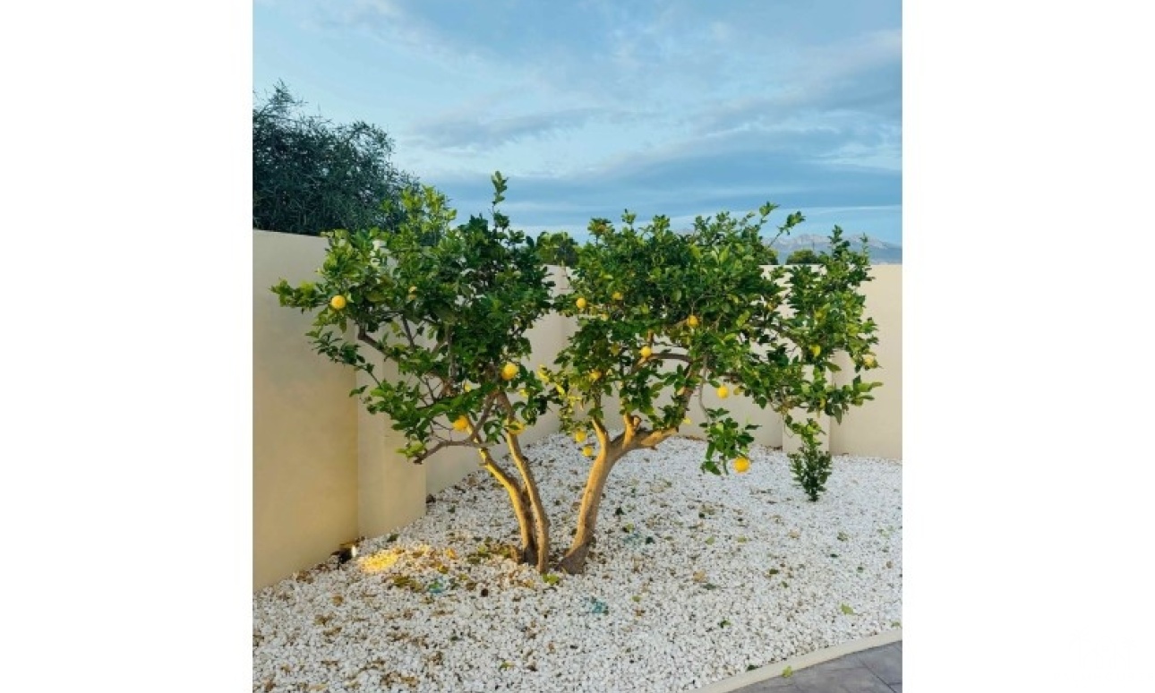 Revente - Villa - Alfaz del Pi - Costa Blanca