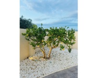 Revente - Villa - Alfaz del Pi - Costa Blanca