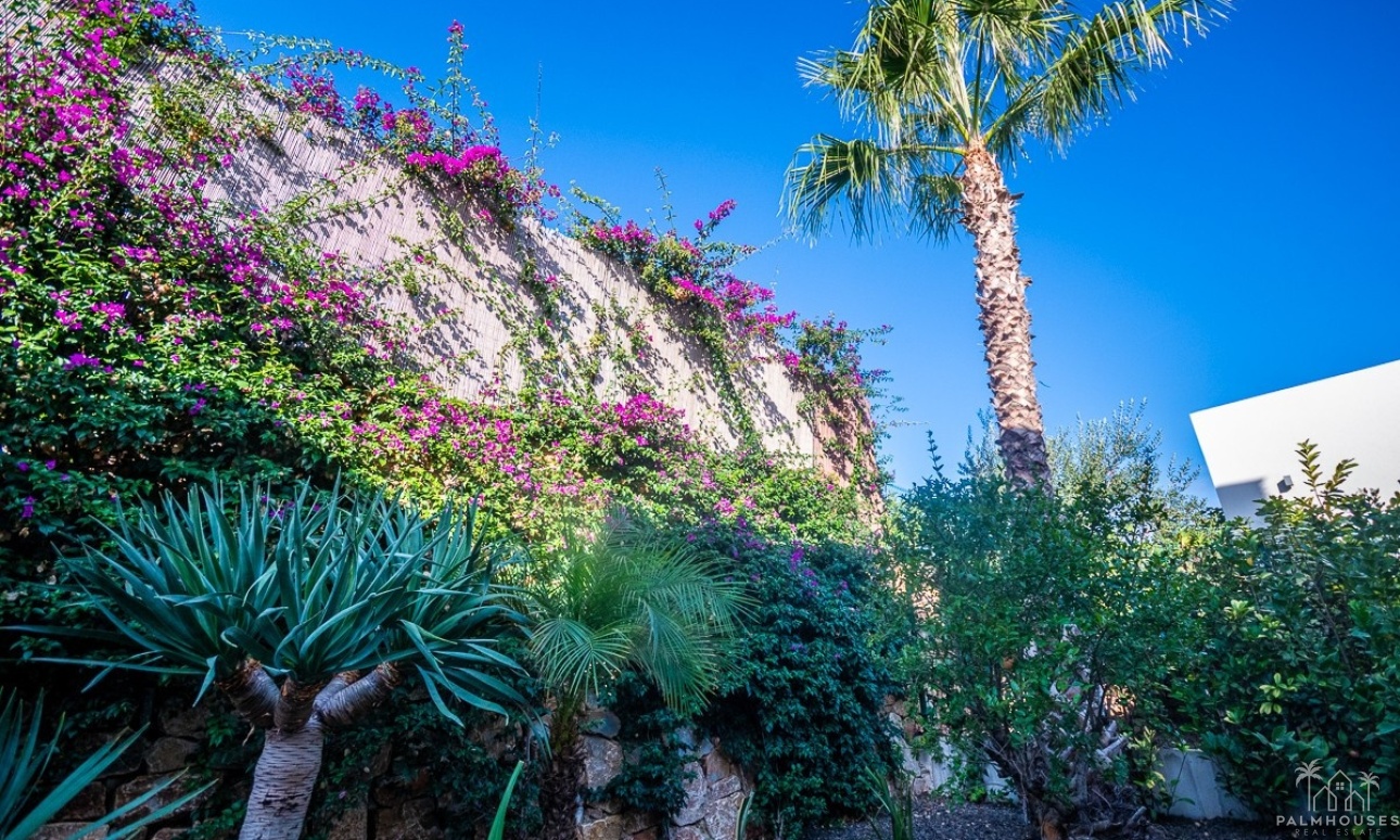Revente - Villa - Algorfa - Algorfa Centro