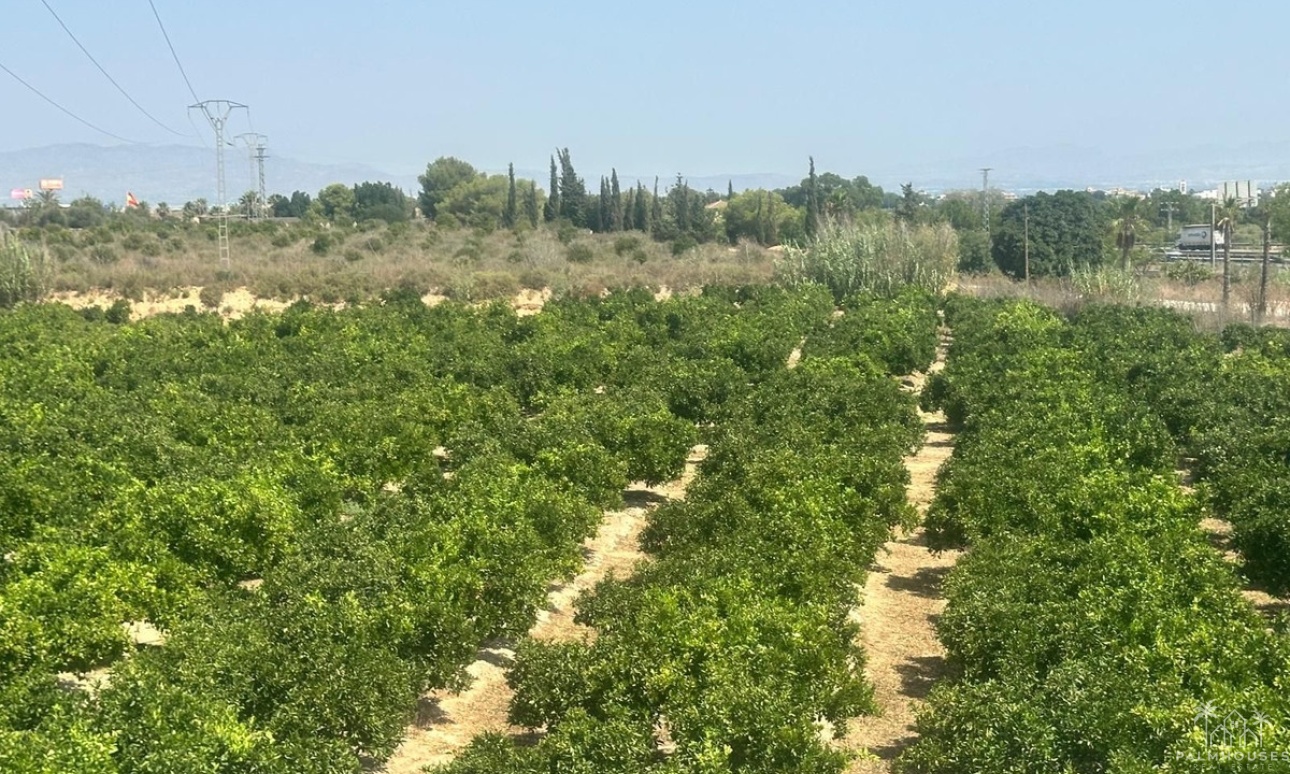 Revente - Villa - Algorfa - Algorfa Centro