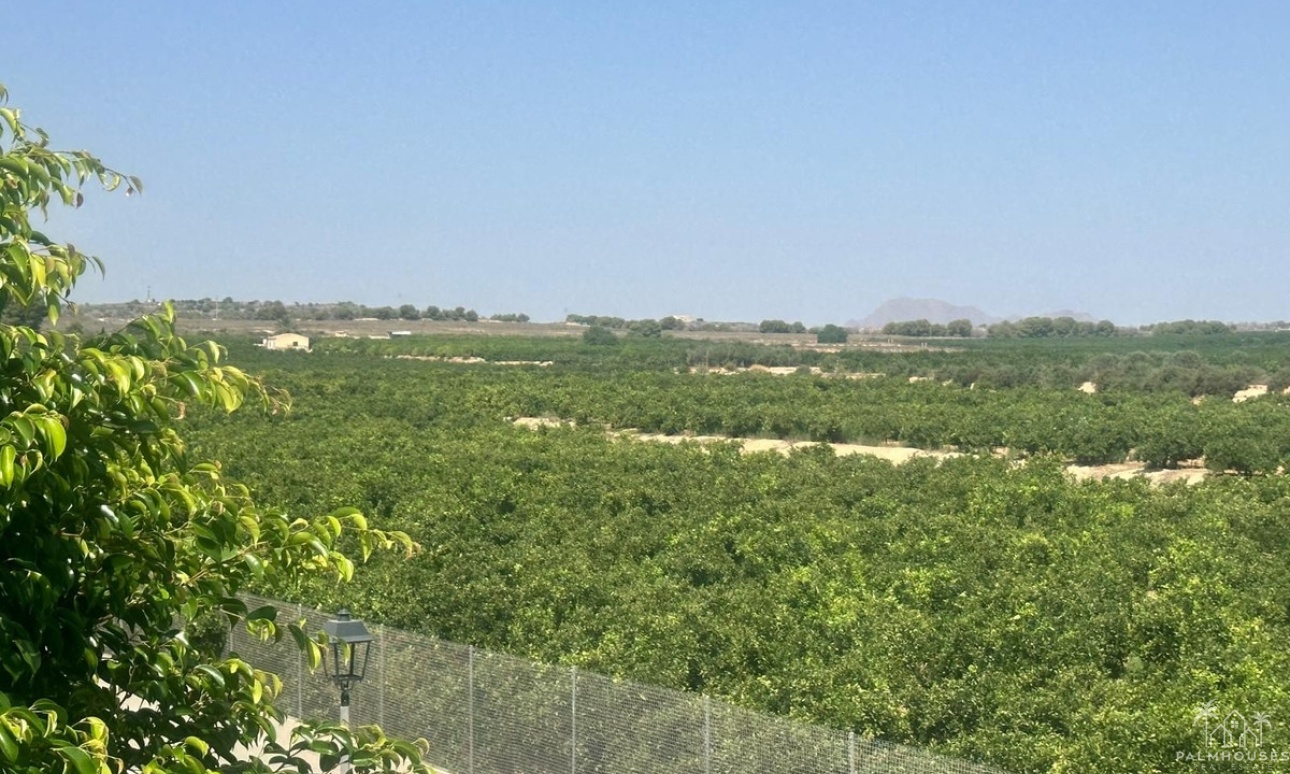 Revente - Villa - Algorfa - Algorfa Centro