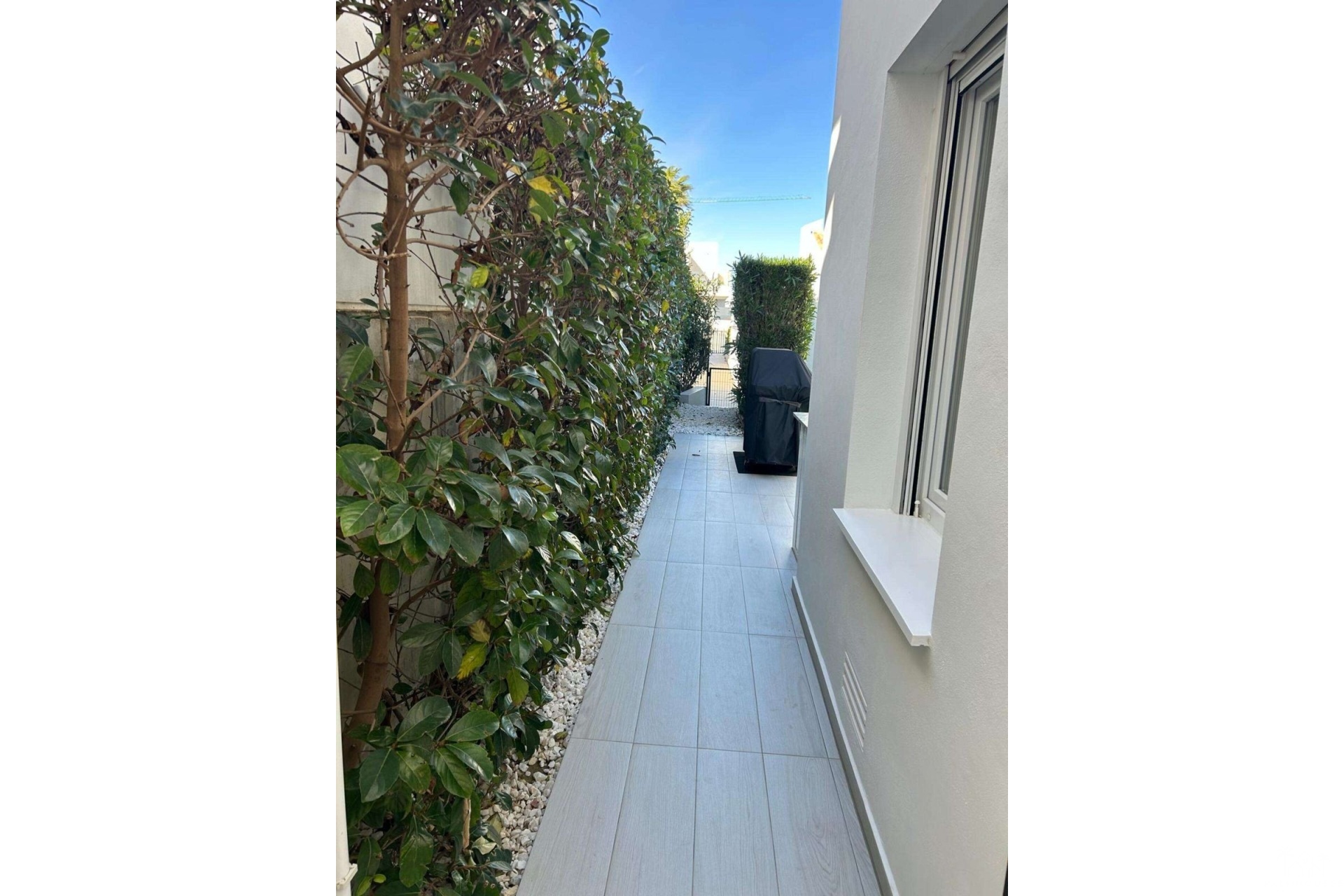 Revente - Villa - Algorfa - Algorfa Centro