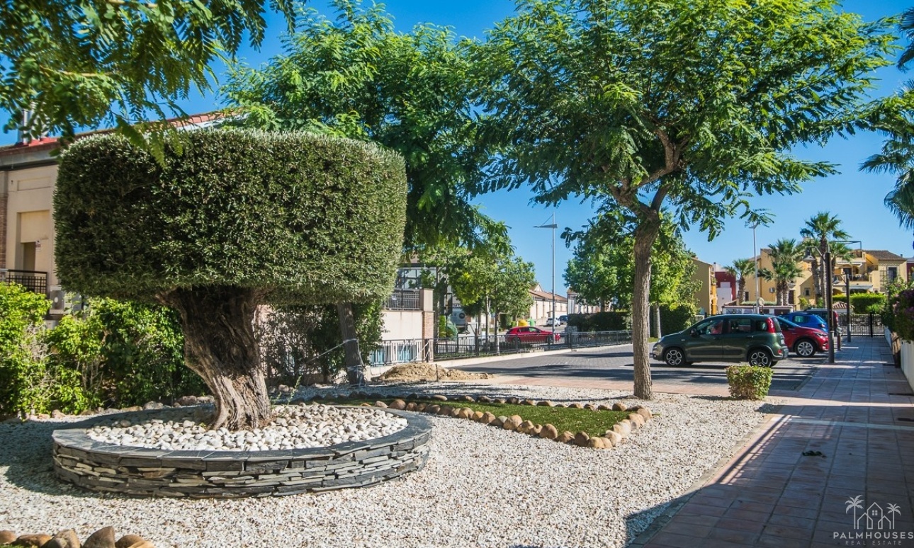 Revente - Villa - Algorfa - Algorfa Centro