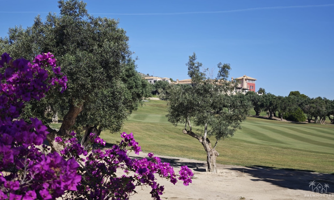 Revente - Villa - Algorfa - Inland