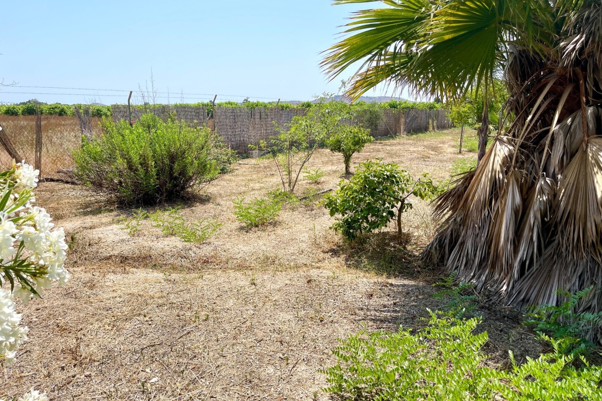 Revente - Villa - Alicante - Costa Blanca