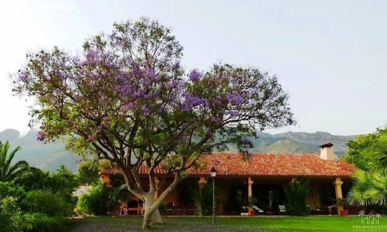 Revente - Villa - Altea - Altea Centro