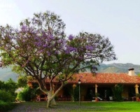 Revente - Villa - Altea - Altea Centro
