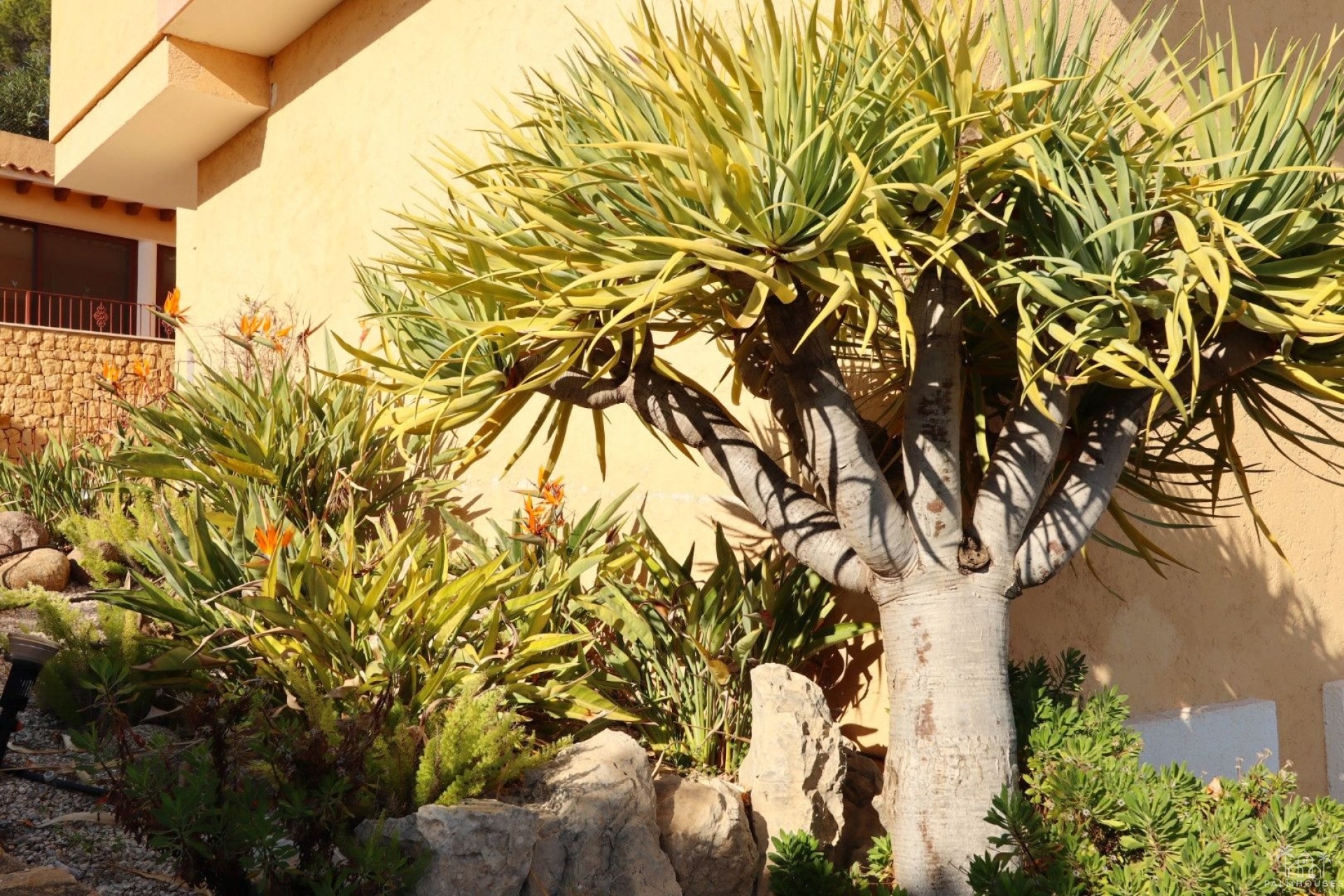 Revente - Villa - Altea - Costa Blanca
