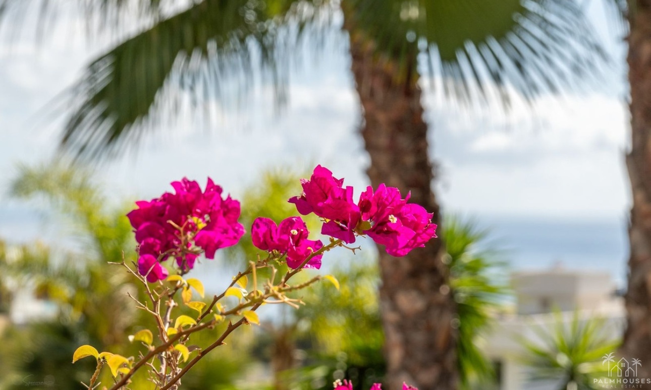 Revente - Villa - Benissa - Benissa Coast