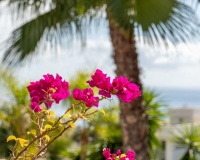 Revente - Villa - Benissa - Benissa Coast