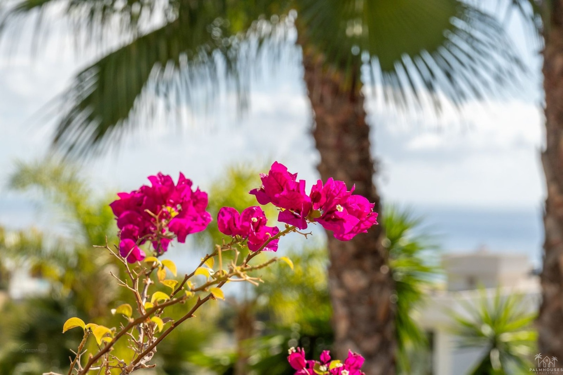 Revente - Villa - Benissa - Benissa Coast
