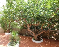 Revente - Villa - Calpe - Calpe Centro