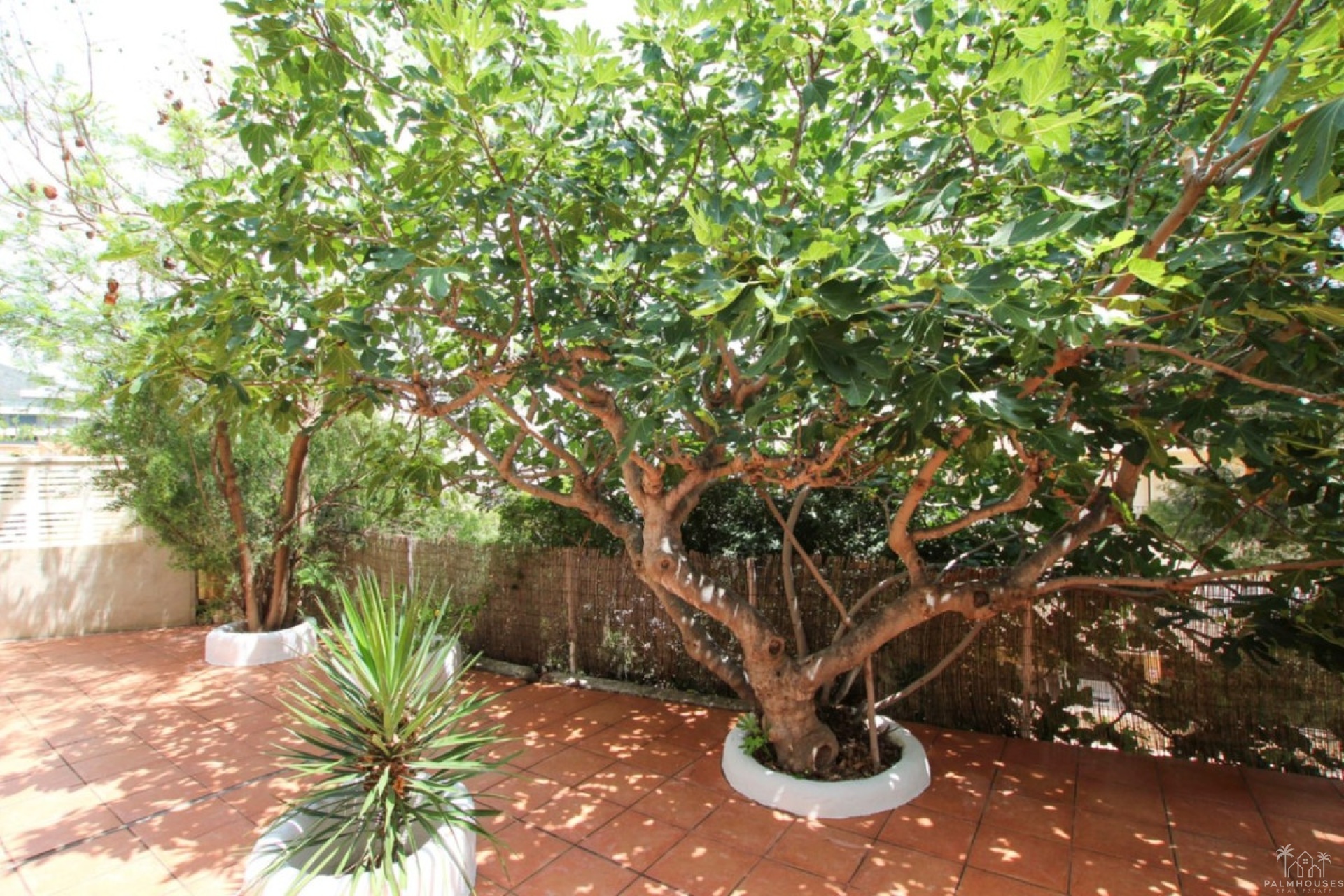 Revente - Villa - Calpe - Calpe Centro