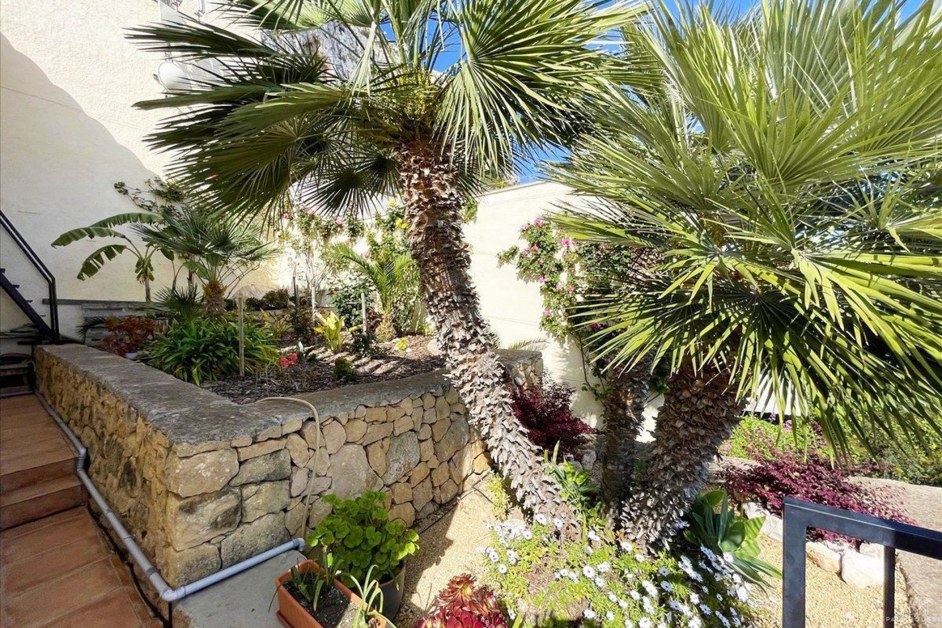 Revente - Villa - Calpe - Calpe Centro