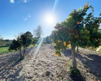 Revente - Villa - Calpe - Calpe Centro