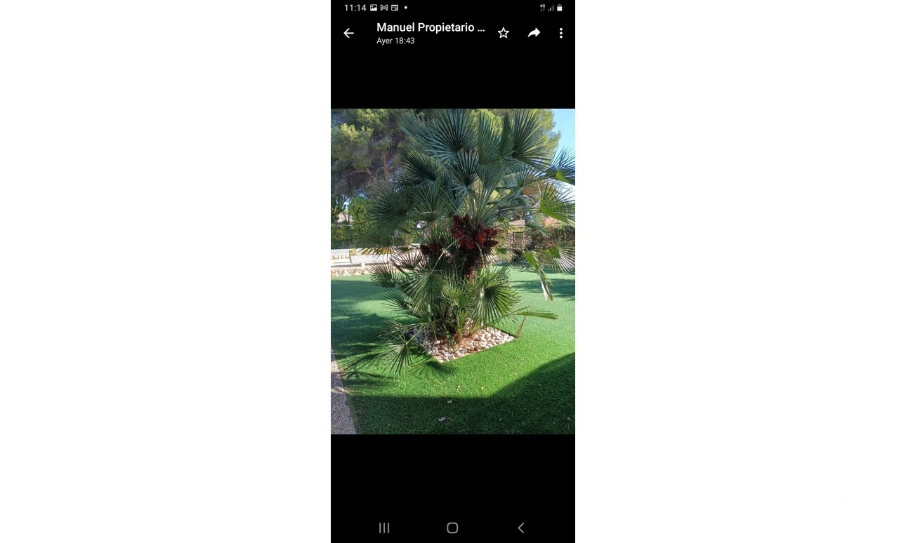 Revente - Villa - Campoamor - Costa Blanca