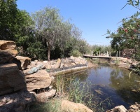 Revente - Villa - Catral - Catral Centro