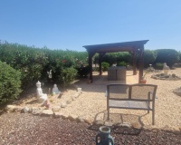 Revente - Villa - Catral - Catral Centro