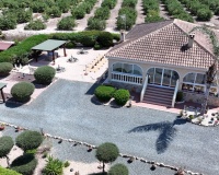 Revente - Villa - Catral - Catral Centro