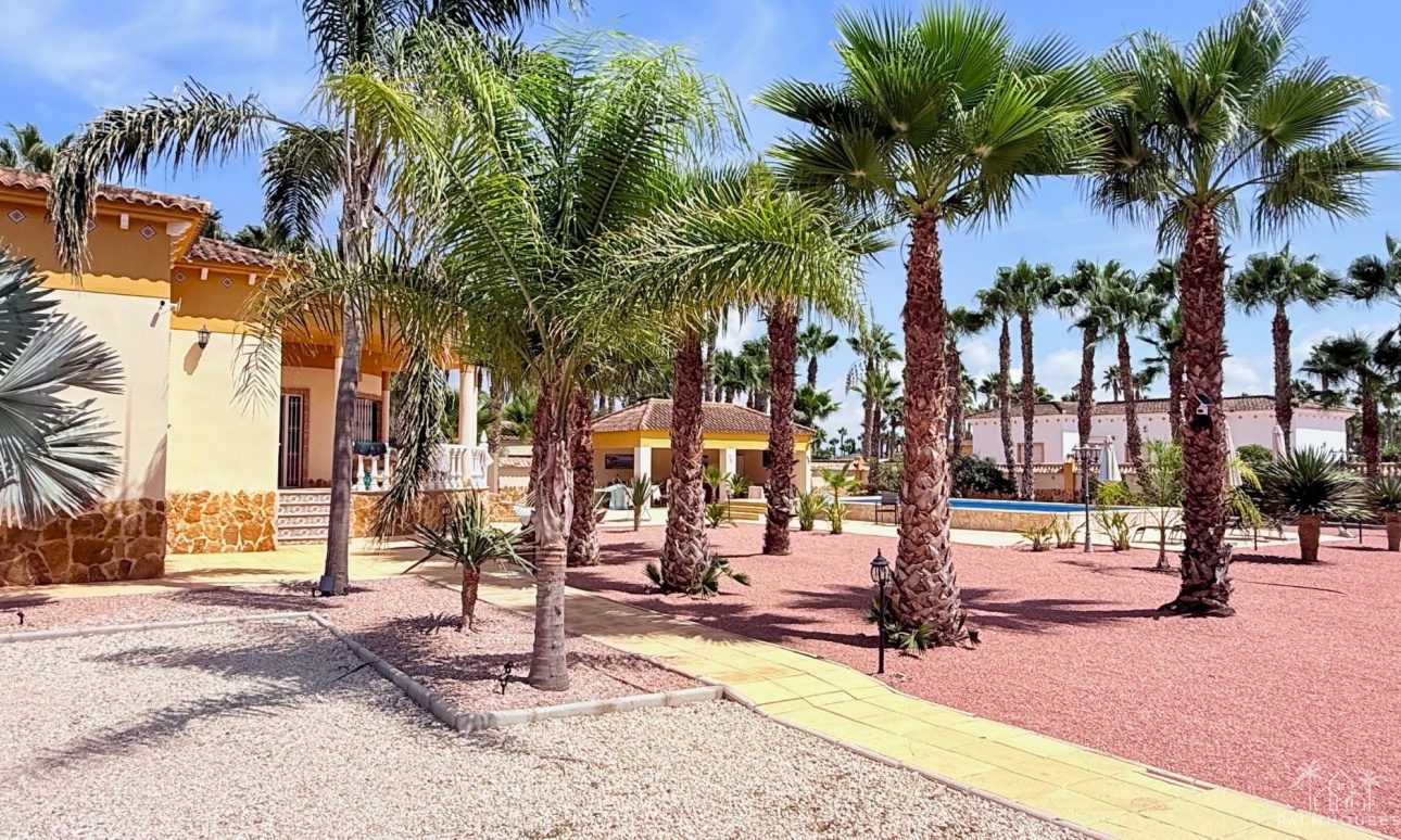 Revente - Villa - Catral - Costa Blanca