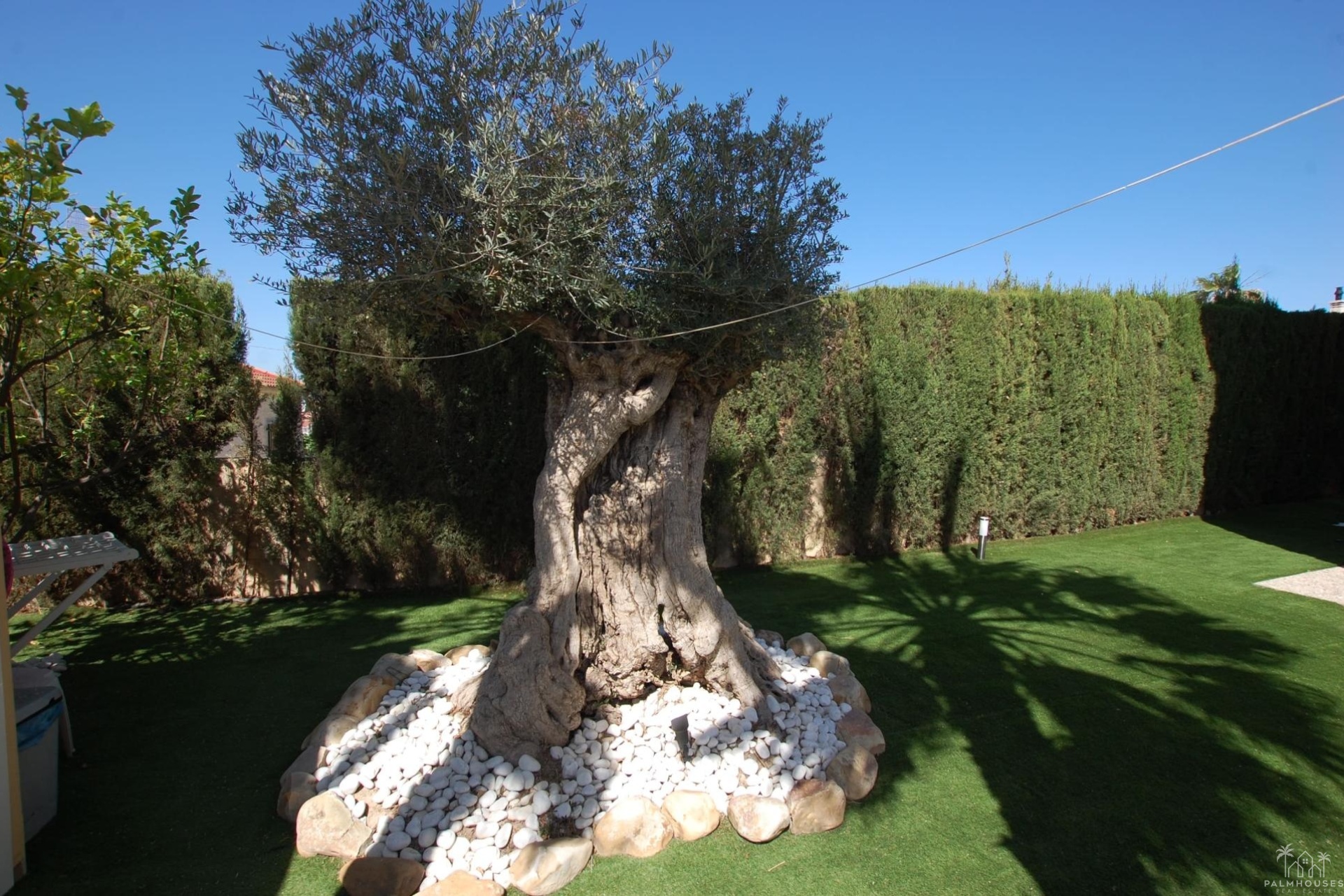 Revente - Villa - Ciudad Quesada - Costa Blanca