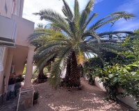 Revente - Villa - Ciudad Quesada - Costa Blanca