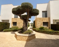 Revente - Villa - Ciudad Quesada - Pueblo bravo