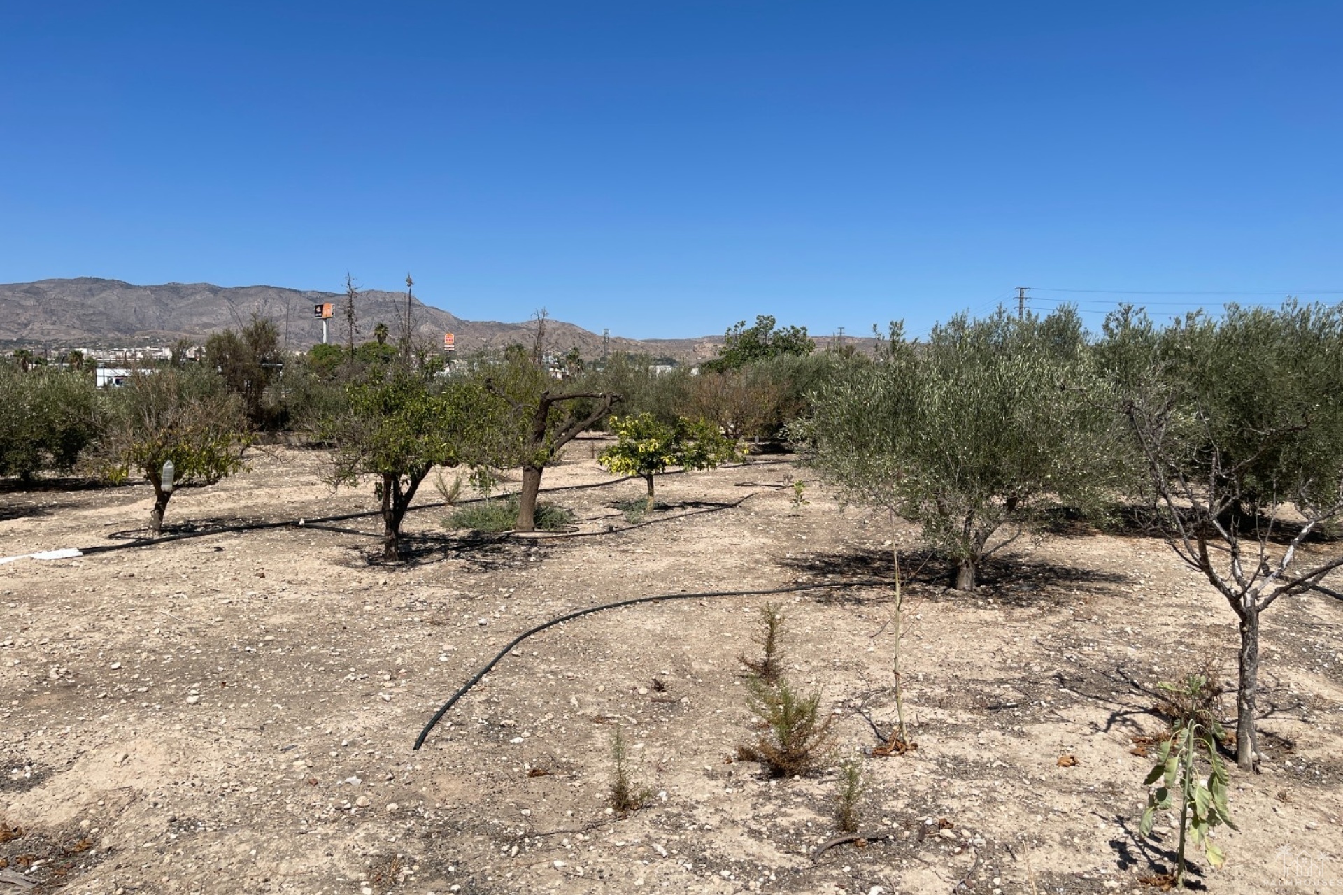 Revente - Villa - Crevillent - Inland