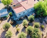 Revente - Villa - Crevillent - Inland