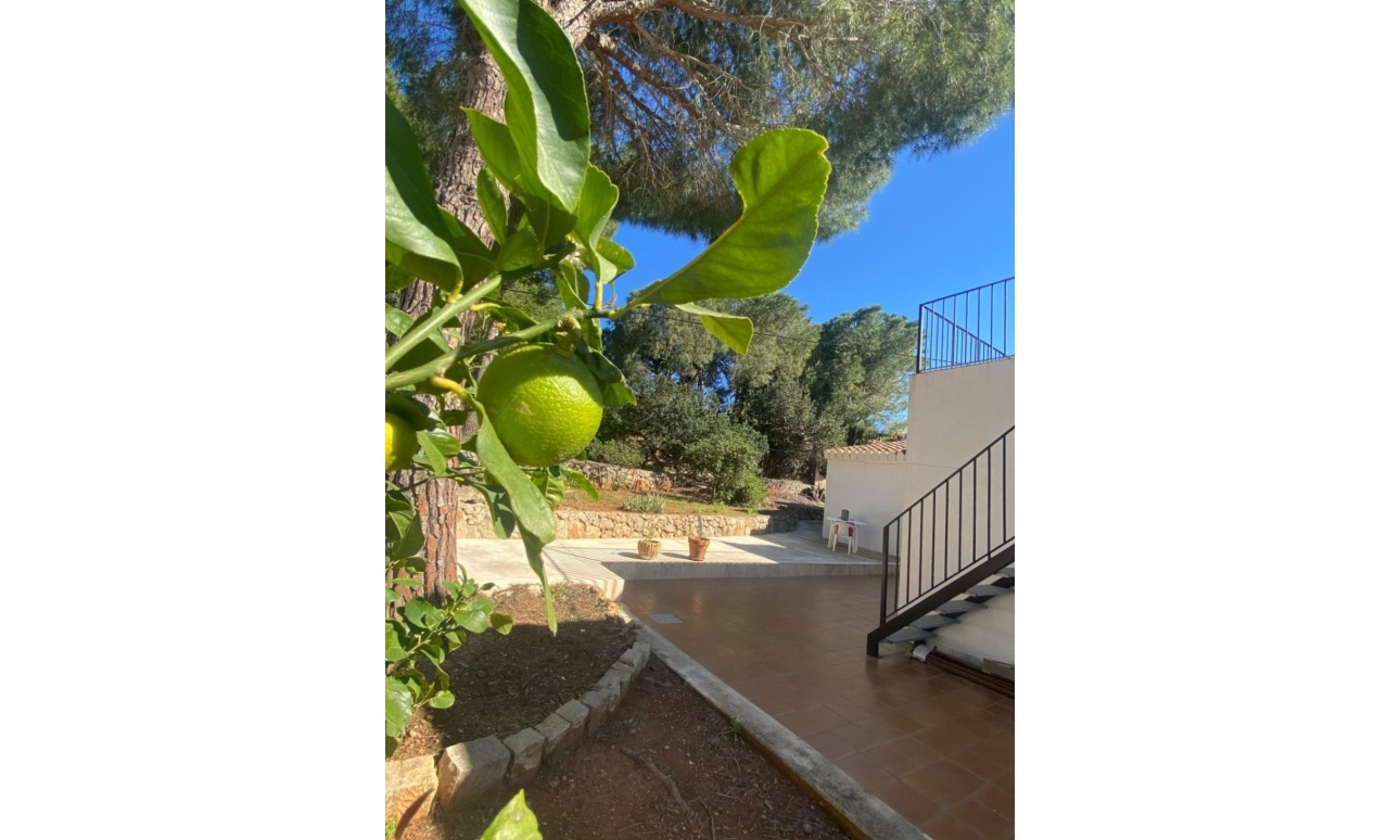 Revente - Villa - Denia - Denia Centro