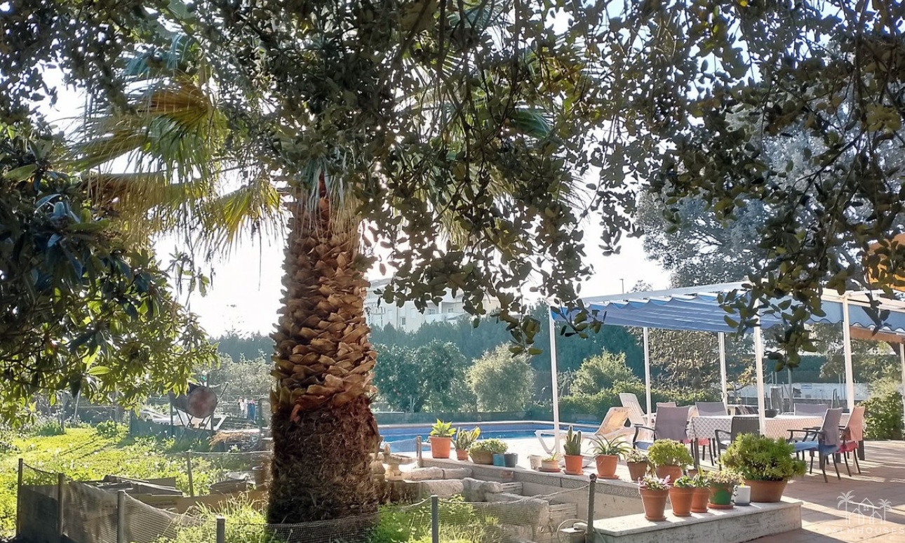 Revente - Villa - Denia - Denia Centro
