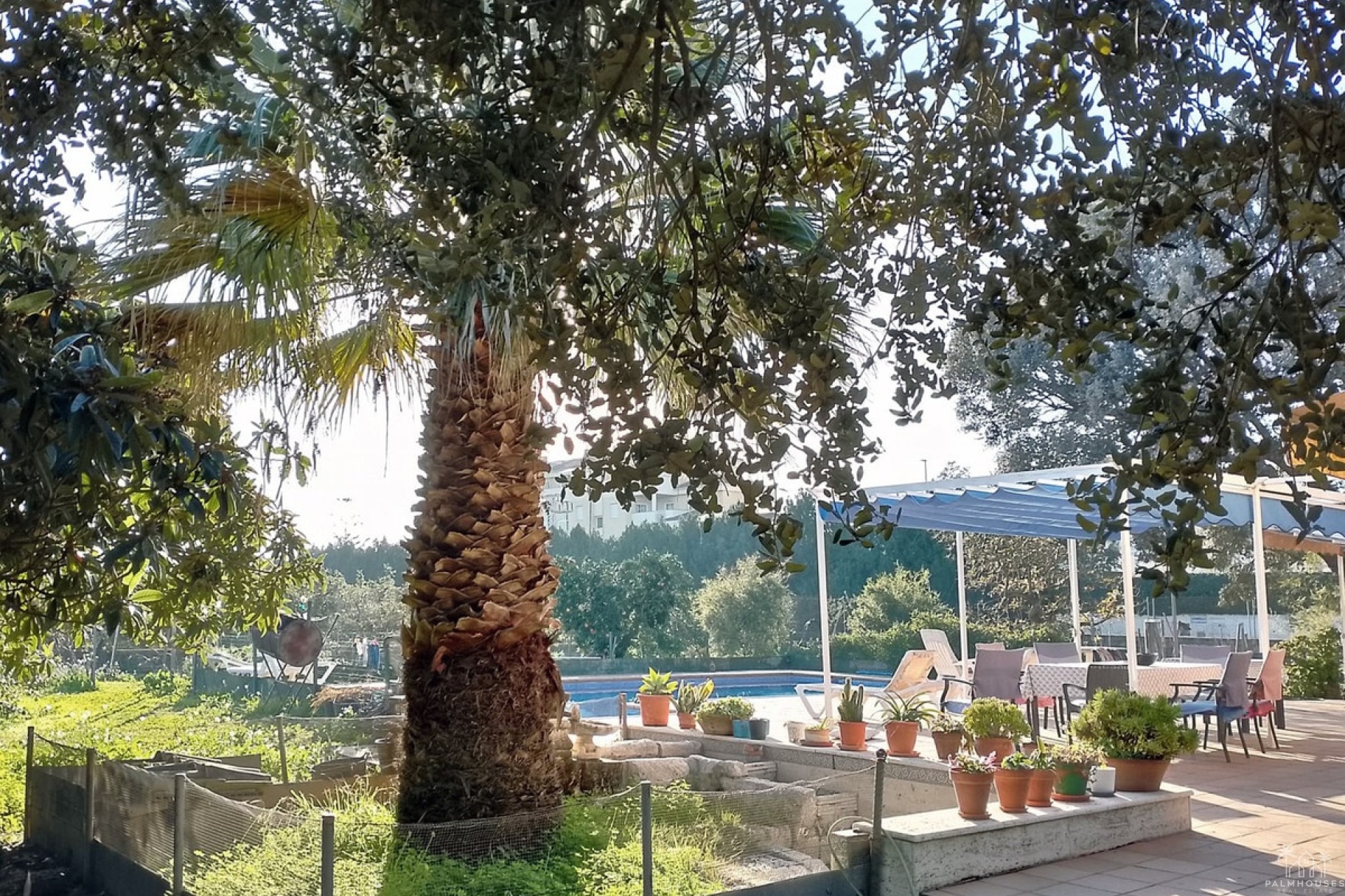 Revente - Villa - Denia - Denia Centro