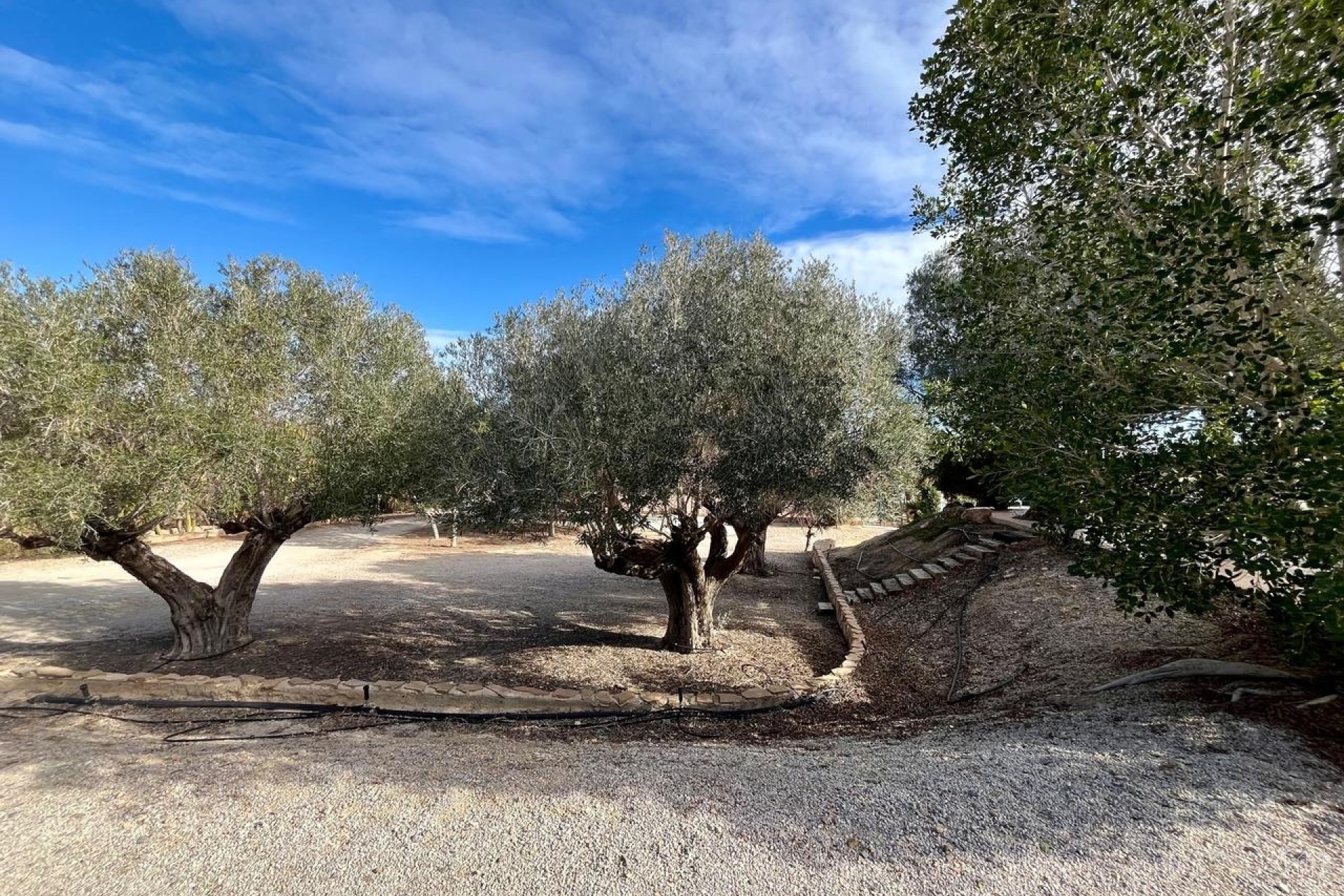 Revente - Villa - El Esparragal - Inland