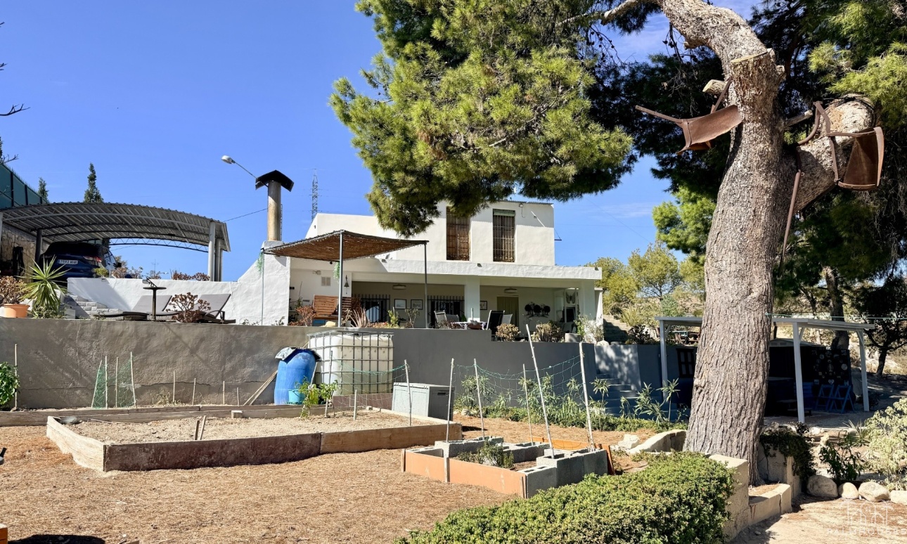 Revente - Villa - Elche - Center