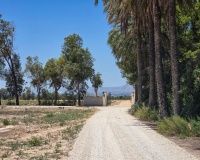 Revente - Villa - Elche - Costa Blanca