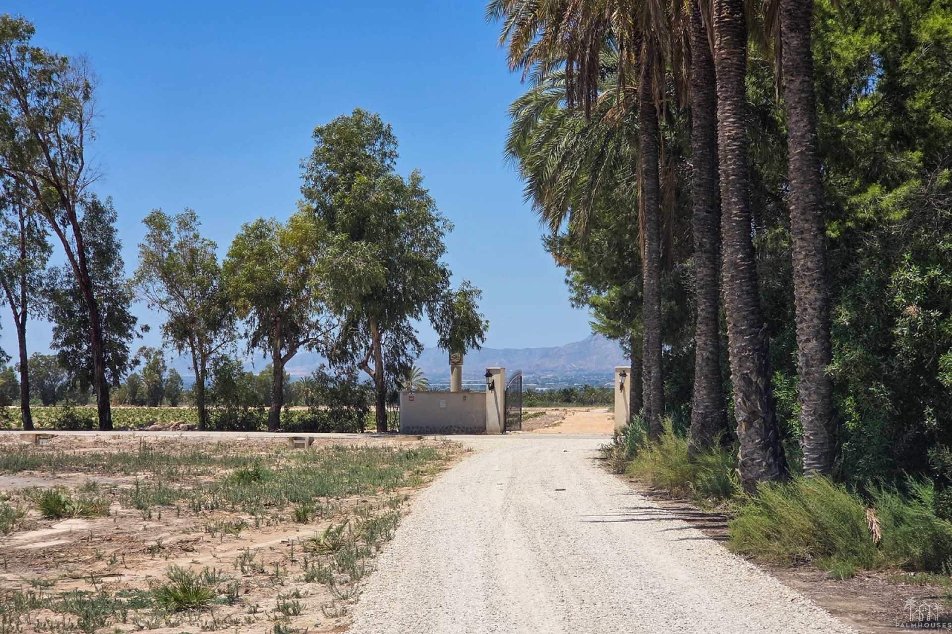 Revente - Villa - Elche - Costa Blanca