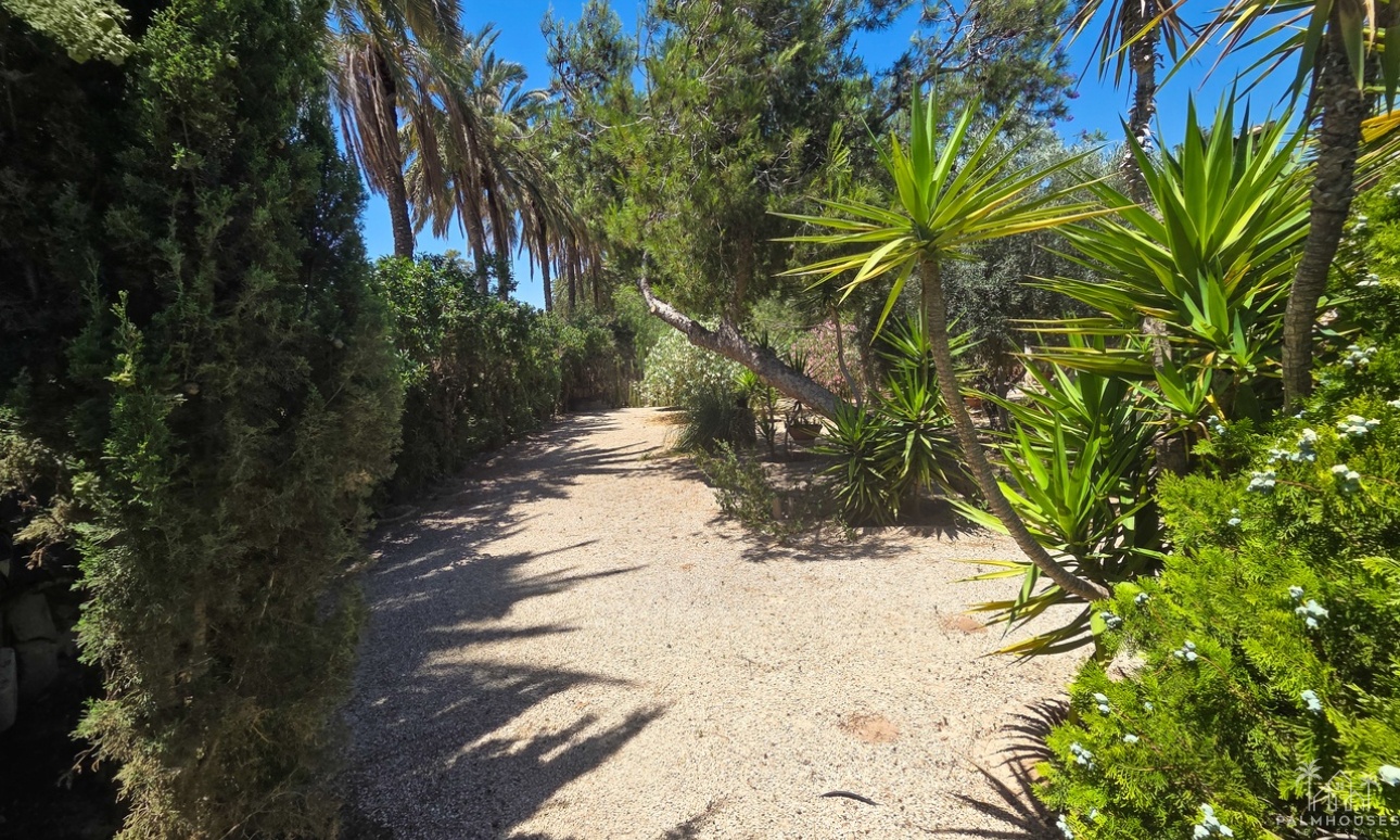 Revente - Villa - Elche - Costa Blanca