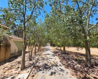 Revente - Villa - Elche - Costa Blanca