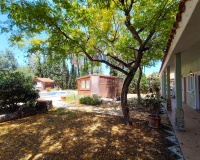 Revente - Villa - Elche - Costa Blanca