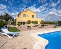 Revente - Villa - Elche - Costa Blanca