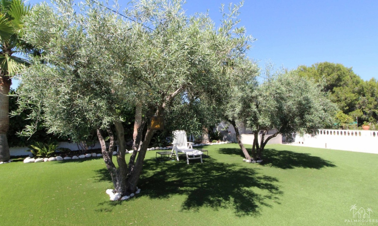 Revente - Villa - Elche - Elche Centro