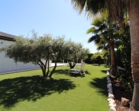 Revente - Villa - Elche - Elche Centro