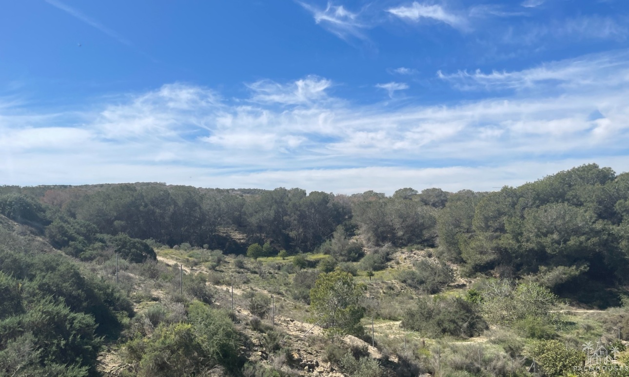 Revente - Villa - Guardamar del Segura - Costa Blanca