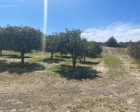 Revente - Villa - Guardamar del Segura - Costa Blanca